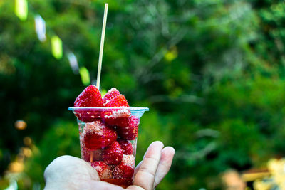 Midsection of person holding strawberry