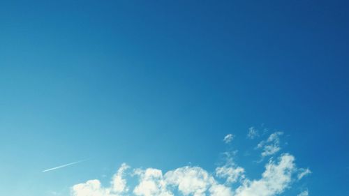 Low angle view of trees against blue sky