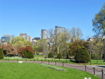 Trees and park in city against clear blue sky