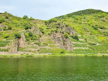 Scenic view of river by tree mountains against sky