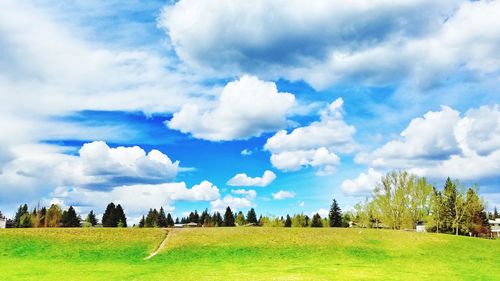 Panoramic view of field against sky