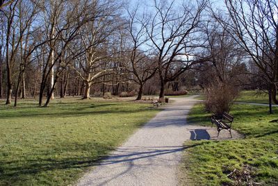 Footpath amidst bare trees in park