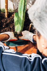 High angle view of man working in farm