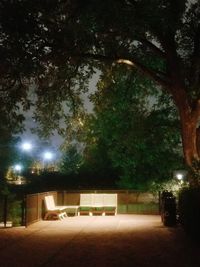 Illuminated street light against trees at night