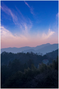 Scenic view of forest against sky