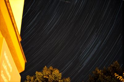 Low angle view of trees against sky at night