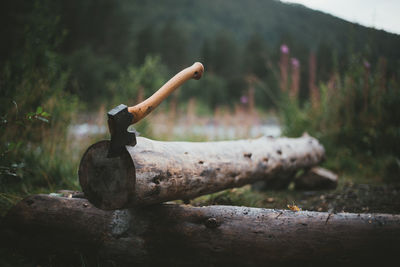 Chopping a little firewood for a bonfire. close up of an axe 