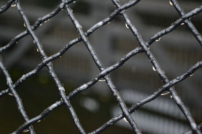 Full frame shot of wet chainlink fence