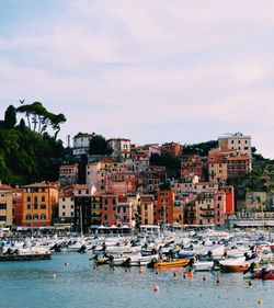 Boats moored at harbor