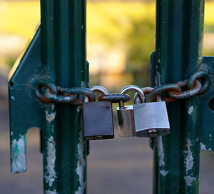 Close-up of padlocks hanging from metallic gate