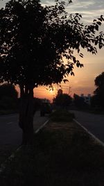 Silhouette tree by road against sky during sunset