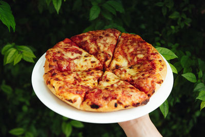 Close-up of hand holding pizza