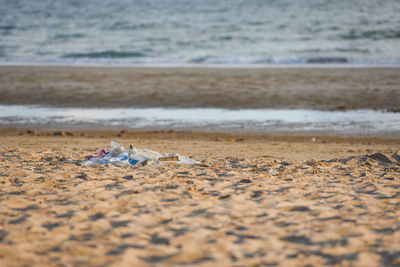 Scenic view of beach