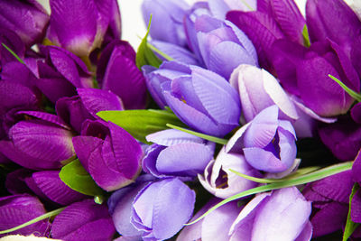 Full frame shot of purple flowers