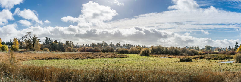 Panoramic view of agricultural field against sky