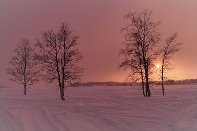 Bare trees on snow covered field against sky during sunset