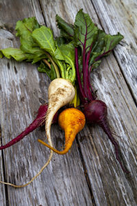 High angle view of radishes on table