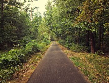 Road amidst trees in forest