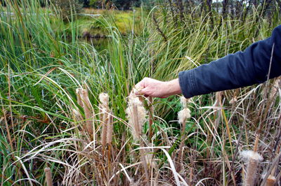 Close-up of man touching grass on field