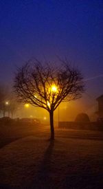 Silhouette of bare trees against sky at night