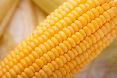 Close-up of corn