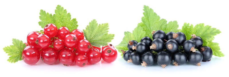 Close-up of fruits against white background