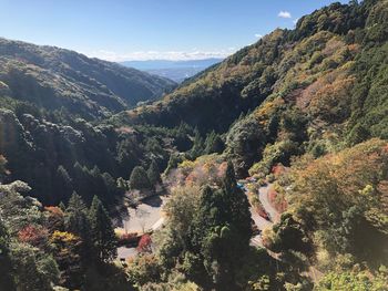 Scenic view of tree mountains