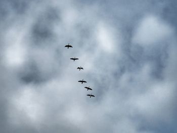 Low angle view of airshow in sky