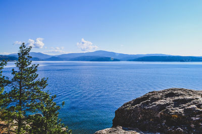 Scenic view of sea against blue sky