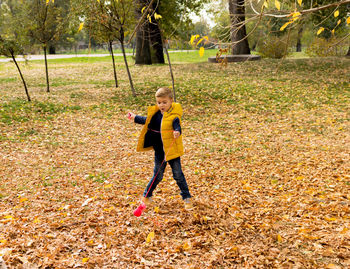 Small boy having fun while playing in nature during autumn day.