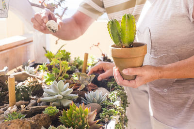 Midsection of couple discussing while standing by plants