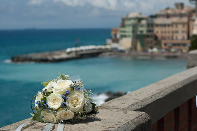 Close-up of rose against sea