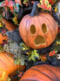 Close-up of pumpkin on wood during autumn