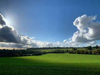 Scenic view of agricultural field against sky