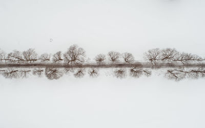 Directly above shot of bare trees on snowy field 