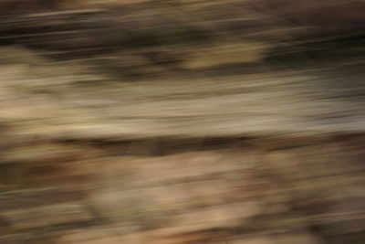 Defocused image of blurred background