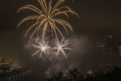 Firework display at night