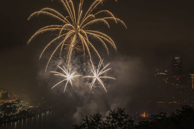 Firework display over city against sky at night