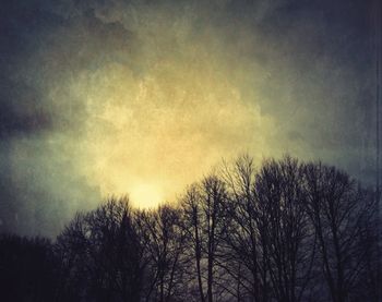 Low angle view of bare trees against sky