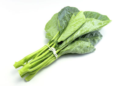 Close-up of green leaf against white background