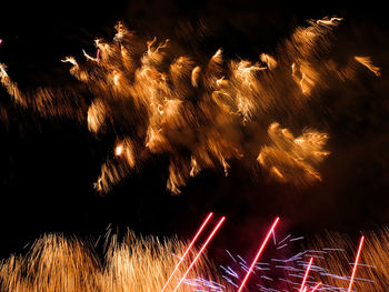 Firework display at night