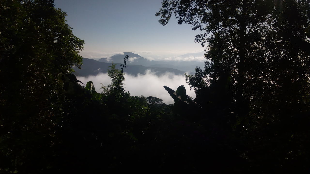 VIEW OF BIRDS PERCHING ON MOUNTAIN AGAINST SKY