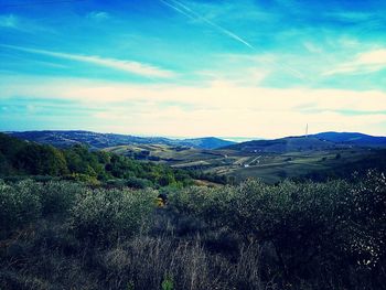 Scenic view of landscape against blue sky