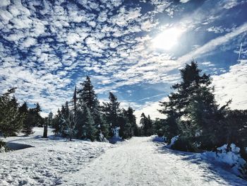 Snow covered land and trees against sky