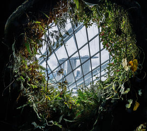 High angle view of plants