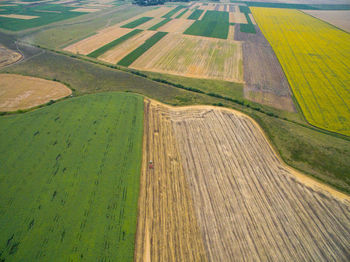 High angle view of agricultural field