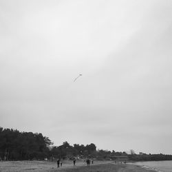 Birds flying over sea against sky