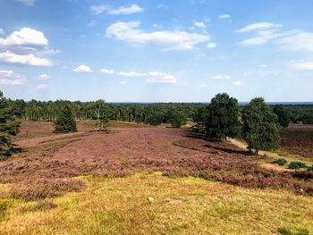 Scenic view of land against sky