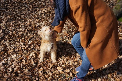 Low section of person with dog standing on leaves