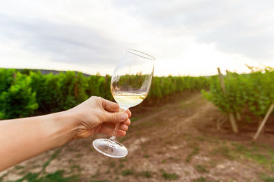 Midsection of person holding drink glass on field against sky